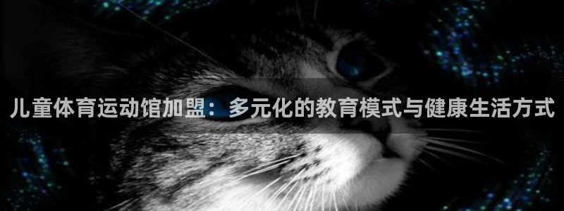 qy千亿球友会体育：儿童体育运动馆加盟：多元化的教育模式与健康生活方式