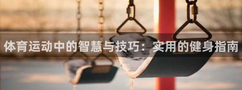 qy千亿球友会体育：体育运动中的智慧与技巧：实用的健身指南